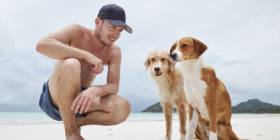 Happy man with two dogs on beach Happy man sitting with two cute dogs on white sand beach, Seychelles